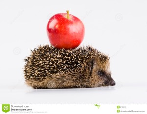 Hey, Adam! This Apple Just Fell On Me. Could You Help Me Get It Off? Just Don't Bite Into It For Christ's Sake!