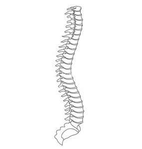 Paul Ryan's Spine